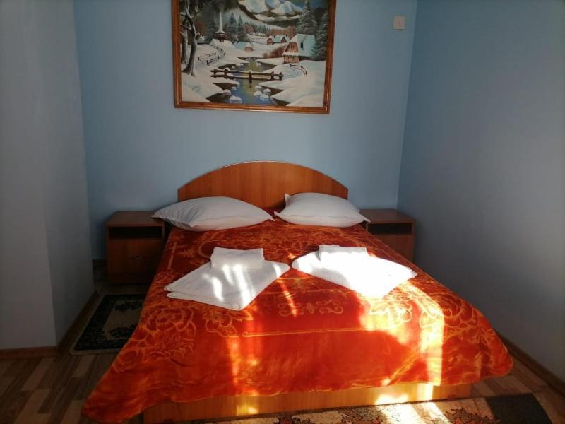 Hotel Casa Marinca à Ocna Şugatag Extérieur photo